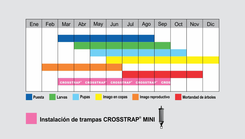 Fenología de Tomicus piniperda